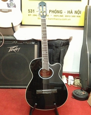 Đàn guitar Acoustic Tagima